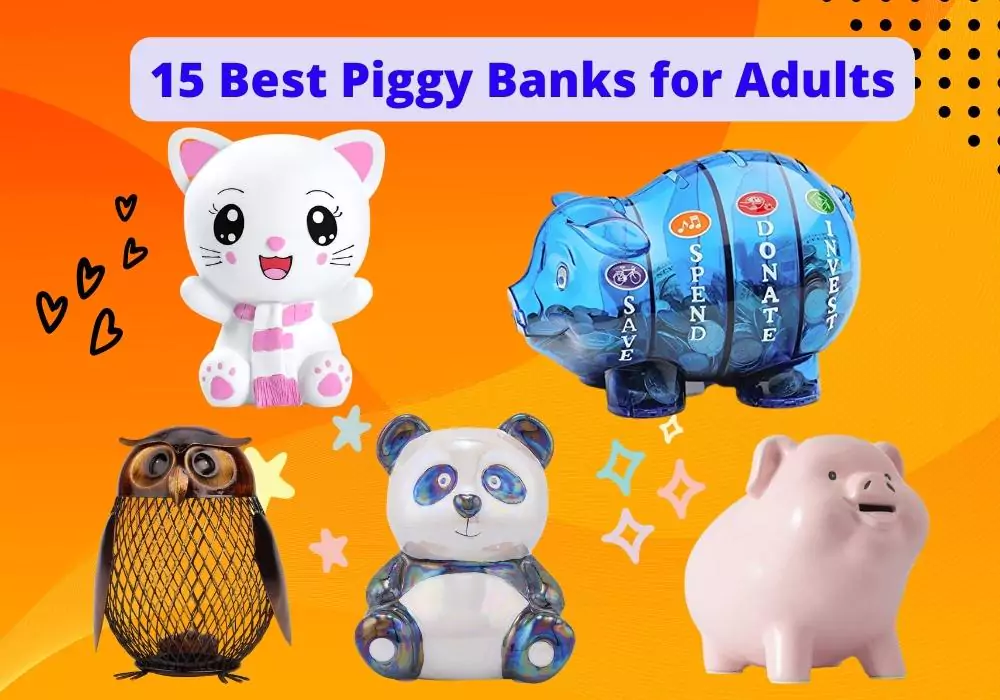 Best Piggy Banks for Adults